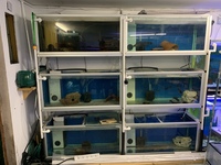 Fish Tank/Aquarium Racking Bay With 6x 3ft Tanks