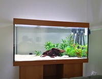 Juwel Rio 350 With LED light Unit And Stand
