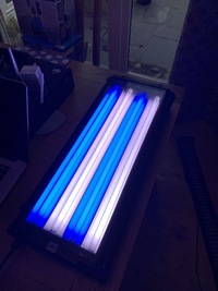 Wave Point 4 x 24w T5 fluorescent marine light unit