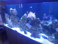 Complete marine setup for sale