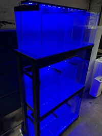 9 tanks and rack for sale Halifax - £100