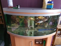 Swap for bigger tank