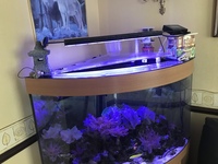 Jewel Trigon 190 Marine Tank