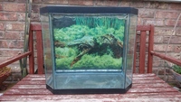 Visitherm Heaters, Fluval Filters & Fish Tank