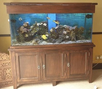 £700 Full Marine Set-Up.