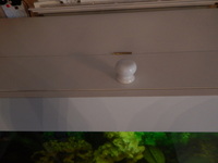A LOAD OF NEW PICTURES ADDED/////BARGAIN//£360 FULL SET UP WITH FISH//£360 ONLY BARGAIN/LARGE BESPOKE AQUARIUM IN WHITE,4FT 6 inches LONG X 2FT HIGH X 20 inches DEPTH.
