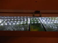 A LOAD OF NEW PICTURES ADDED/////BARGAIN//£360 FULL SET UP WITH FISH//£360 ONLY BARGAIN/LARGE BESPOKE AQUARIUM IN WHITE,4FT 6 inches LONG X 2FT HIGH X 20 inches DEPTH.