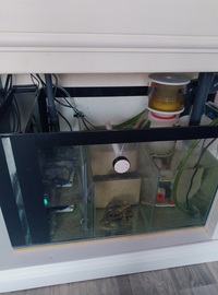 ND Aquatics 5x2x2 Marine Aquarium full set up & fish.