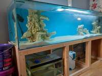 FISH TANK AND STAND