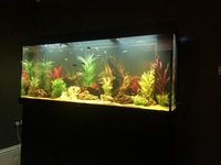 Jewel Rio 450l LED Aquarium & Cabinet Complete Set up with Fish