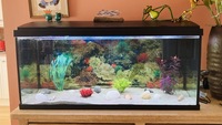 160L Aquarium with all accessories and more
