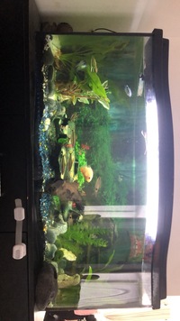 120L wave front tank