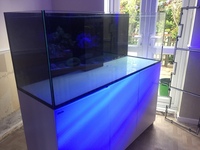 Red Sea reefer 450