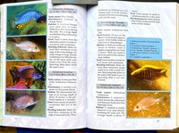 Back to Nature book to Malawi Cichlids Second Edition by Ad Konings SUPER NEW LOWER PRICE £3.99
