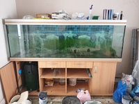 6ft Rena Fish Tank and Stand