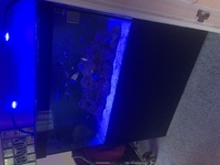 Complete marine tank inc livestock