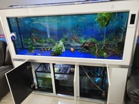 Marine tank with sump - currently run as tropical