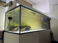 Price drop Complete system with crossback arowana, dats and much more - £2500 ono