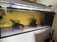 Price drop Complete system with crossback arowana, dats and much more - £2500 ono