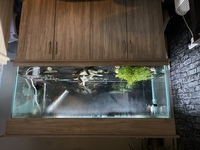 Seabray 5ft Fish tank and unit