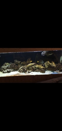 Tank closing