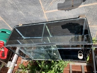 36” L x 12” H x 18” W divided glass tank