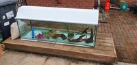 5ft 300+l aquarium £90