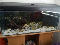 3ft Clearseal full tank setup for sale - SOLD pending collection