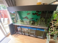 74 x 30 x 30 “ tank for sale