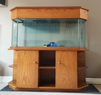 200L Tank with cabinet and hood