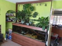 Open to offers. MUST GO. Custom design Euro braced 750litre tank & stand.