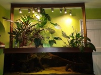 Open to offers. MUST GO. Custom design Euro braced 750litre tank & stand.