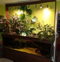 Open to offers. MUST GO. Custom design Euro braced 750litre tank & stand.