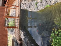 Large pond for sale