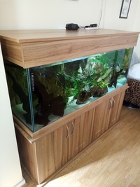 Full set up 5ft tropical tank and stand