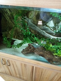 Full set up 5ft tropical tank and stand