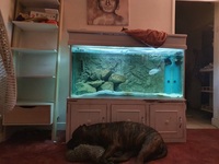 4.5FT COMPLETE AQUARIUM £130