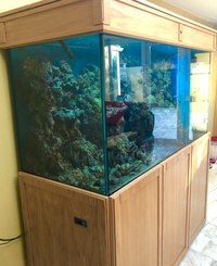 Large marine aquarium for sale £1800