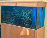 Large marine aquarium for sale £1800