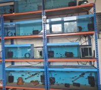 various fish tanks available