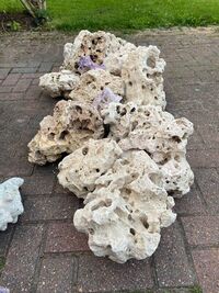 Coral rock - large pieces 100 Kg plus