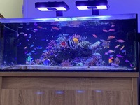 DD reef pro 900 only offers invited