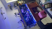 5FT rena marine tank to sell NO LIVE STOCK £250 ONO