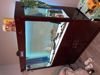 CLEAIR AQUATICS FISH TANK RARE COMPLETE JOB LOT AND MORE