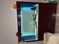 CLEAIR AQUATICS FISH TANK RARE COMPLETE JOB LOT AND MORE