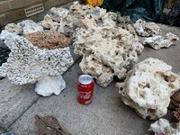 REDUCED TO £60 ONLY//loads of ocean rock 44 pieces not including the small pieces,10 slate,few rocks,small bag of black graval,and pea graval,the lot £70.