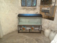For sale as a job lot: £200.00. Cash only please. 6 x aquariums (2 of which large) and quantity of assorted equipment.