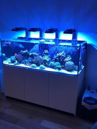 Red Sea Reefer 750 XXL