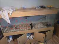 Six foot big fish tank and stand (flat packed)