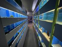 AWARD WINNING AQUATICS SHOP BUSINESS FOR SALE